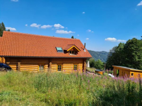 Luxus-Ferienhaus Blockhaus Chalet Nr 2 Toplage am Feldberg mit Sauna, Outdoor-Hottub, Kamin auf 1300m üM